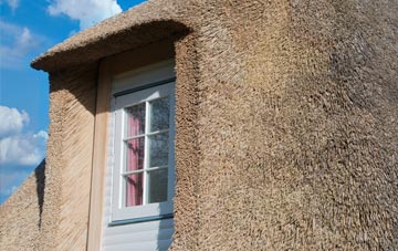 Luckett thatch roof disadvantages